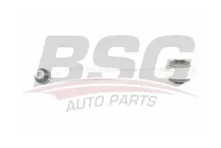 BSG 60315063 Rotilli Kol Üst Sağ