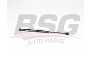 BSG 40980018 Bagaj Amortisörü