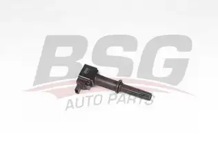 BSG 65835016 Ateşleme Bobini