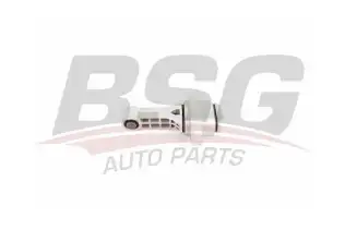 BSG 16700014 Motor Takozu Arka