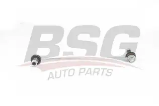 BSG 40310114 Viraj Askı Rotu Ön Sağ