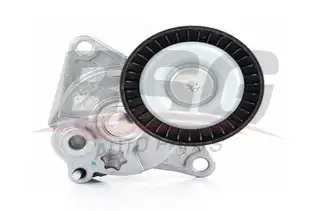 BSG 60615007 V Kayış Gergi Rulmanı