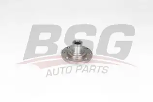 BSG 25600010 Porya Ön
