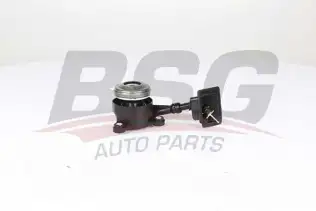 BSG 70625001 Debriyaj Rulmanı
