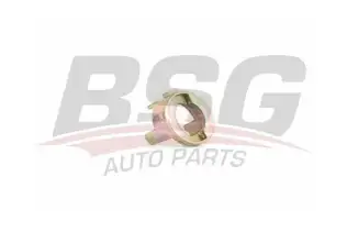 BSG 90975015 Kapı Kilit Burcu