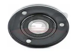 BSG 90615002 V Kayış Gergi Rulmanı