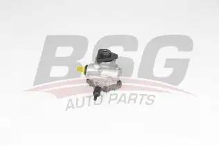 BSG 15355024 Direksiyon Pompası