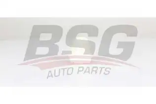 BSG 25700011 Amortisör Takozu Ön