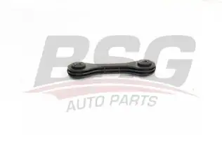 BSG 90310166 Viraj Askı Rotu Ön