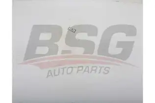BSG 25971008 Radyatör Yedek Su Deposu