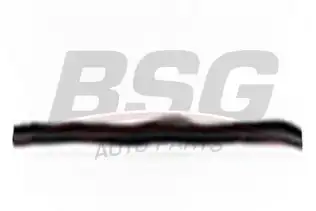 BSG 65922048 Far Alt Lastiği