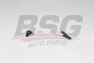 BSG 75725009 Yakıt Borusu