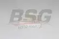 BSG 40145021 Polen Filtresi