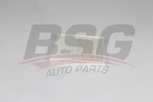 BSG 40145021 Polen Filtresi