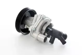 BSG 30500027 Devirdaim
