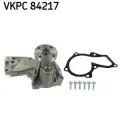 SKF SKFVKPC84217 Devirdaim