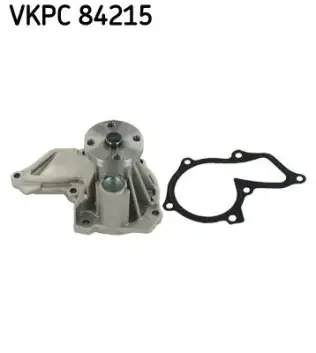 SKF SKFVKPC84215 Devirdaim
