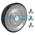 DAYCO APV2978 Devirdaim Kasnağı