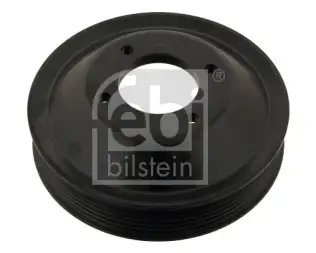 FEBI BILSTEIN 30124 Devirdaim Kasnağı