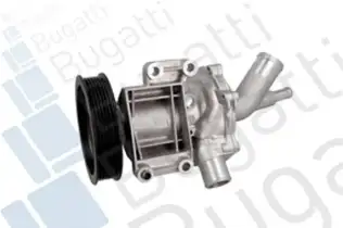 Devirdaim Su Pompası  BSG 25-500-015