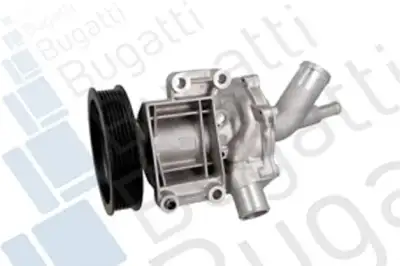 Devirdaim Su Pompası  BSG 25-500-015 - 1. Görsel