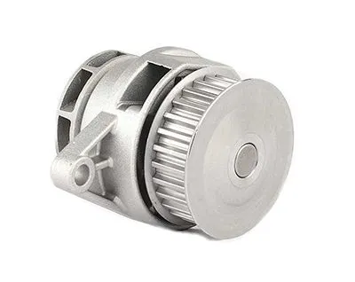 Devirdaim Su Pompası  BSG 90-500-025 - 1. Görsel