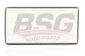 BSG 60145002 Polen Filtresi