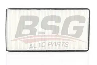 BSG 60145002 Polen Filtresi