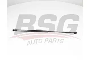 BSG 40980029 Kaput Amortisörü