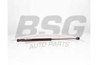 BSG 90980040 Bagaj Amortisörü