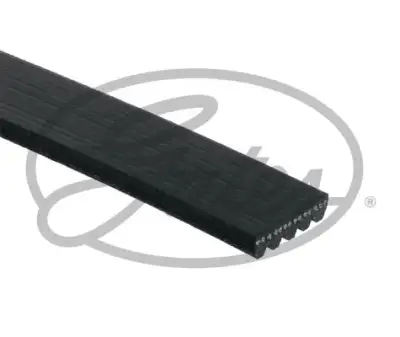 GATES 5PK761SF Direksiyon Pompa Kayışı - 2. Görsel