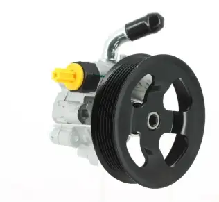 Direksiyon Pompası  BSG 85-355-003
