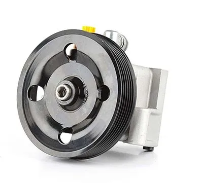 Direksiyon Pompası  BSG 30-355-008 - 1. Görsel