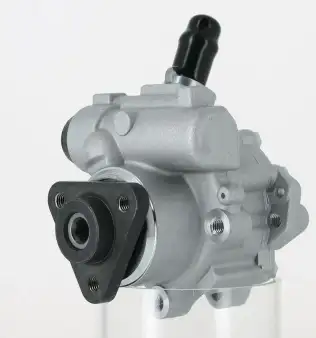 Direksiyon Pompası  BSG 11-355-002