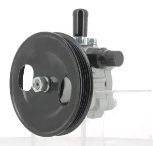 Direksiyon Pompası  BSG 62-355-009