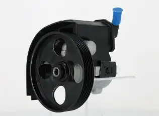 Direksiyon Pompası  BSG 70-355-005