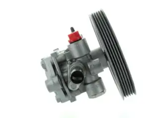 Direksiyon Pompası  SPIDAN GKNY10120