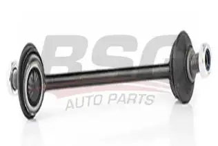 BSG 40310031 Viraj Askı Rotu Ön Sol