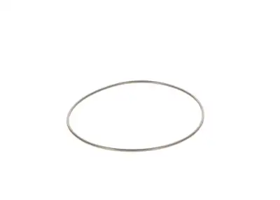 BOSCH 2440210044 O-Ring - 18. Görsel