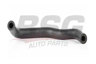 BSG 30720210 Vakum Pompa Hortumu