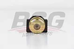 BSG 30975012 Orta Kapı Üst Makara