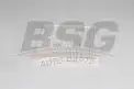 BSG 25145005 Polen Filtresi