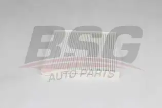 BSG 25145005 Polen Filtresi
