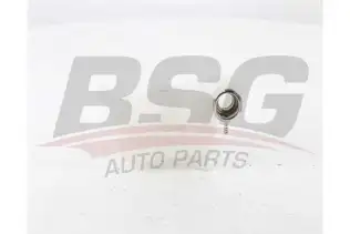 BSG 60550006 Radyatör Yedek Su Deposu