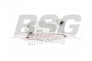 BSG 60506005 Yağ Soğutucusu