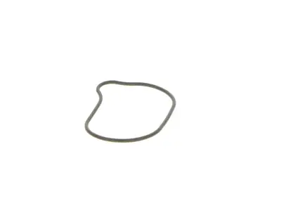 BOSCH 2440210028 O-Ring - 24. Görsel