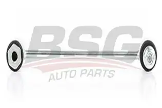 BSG 60310167 Viraj Askı Rotu Arka
