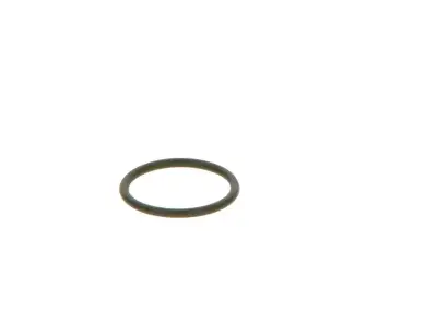 BOSCH F00VC38042 O-Ring - 22. Görsel