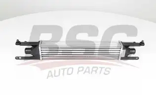 BSG 25535003 Turbo Radyatörü