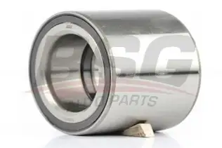 BSG 70600013 Porya Rulmanı Ön